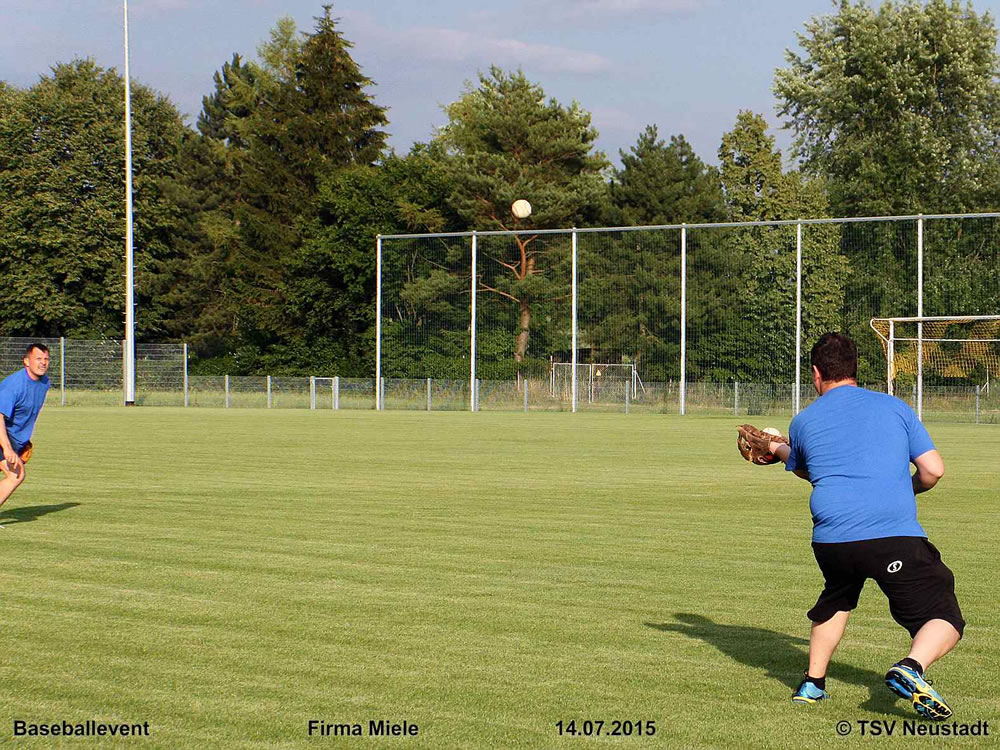 Baseball_2015_0011