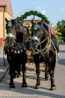 Pfingstvolksfest_2023_0012