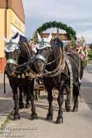 75_Pfingsvolksfest__0030