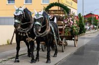 75_Pfingsvolksfest__0032