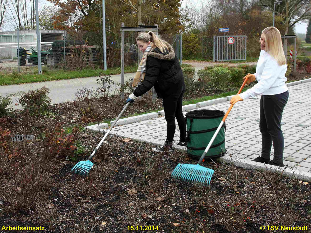 1Arbeitseinsatz_15-11-2014_0006