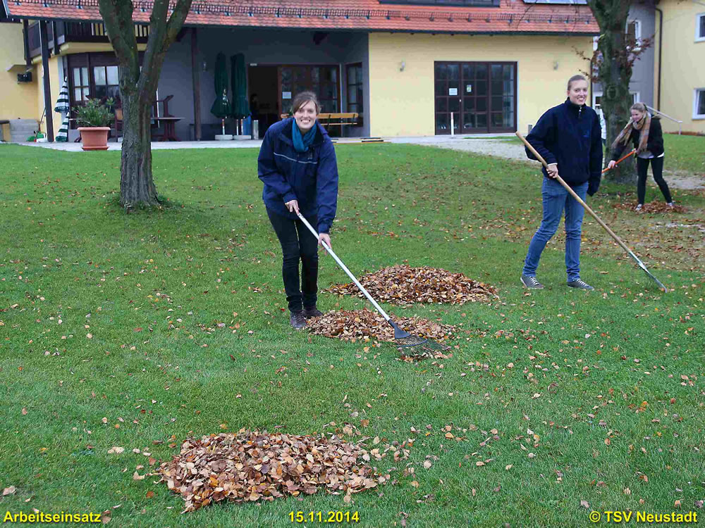 1Arbeitseinsatz_15-11-2014_0017