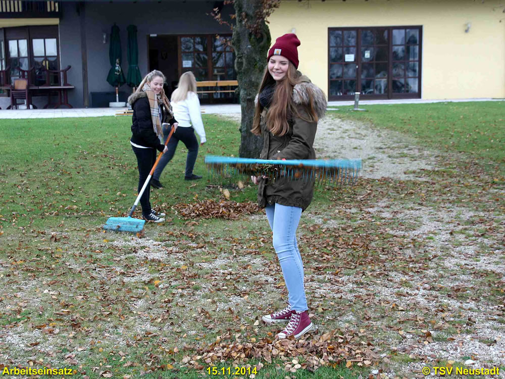 1Arbeitseinsatz_15-11-2014_0018