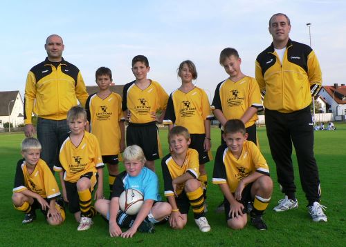 TSV_2010