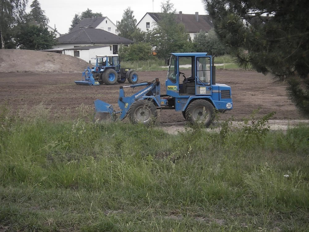 IMGP3242