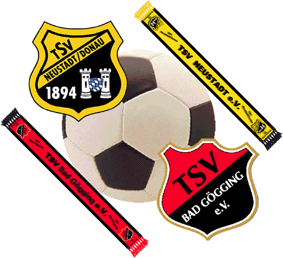 img abt fussball